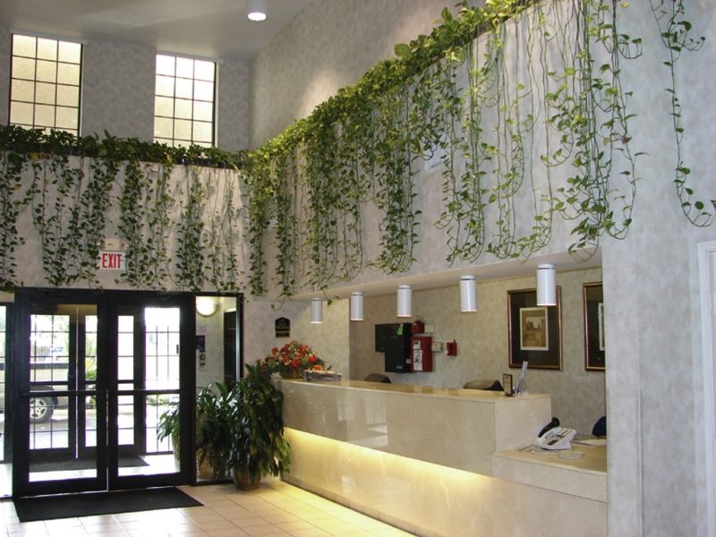 Quality Inn & Suites Airport Austin Esterno foto